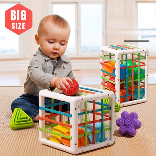 Shape Safari Adventure Blocks