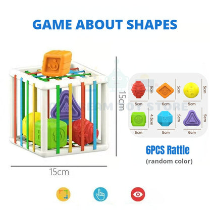 Shape Safari Adventure Blocks